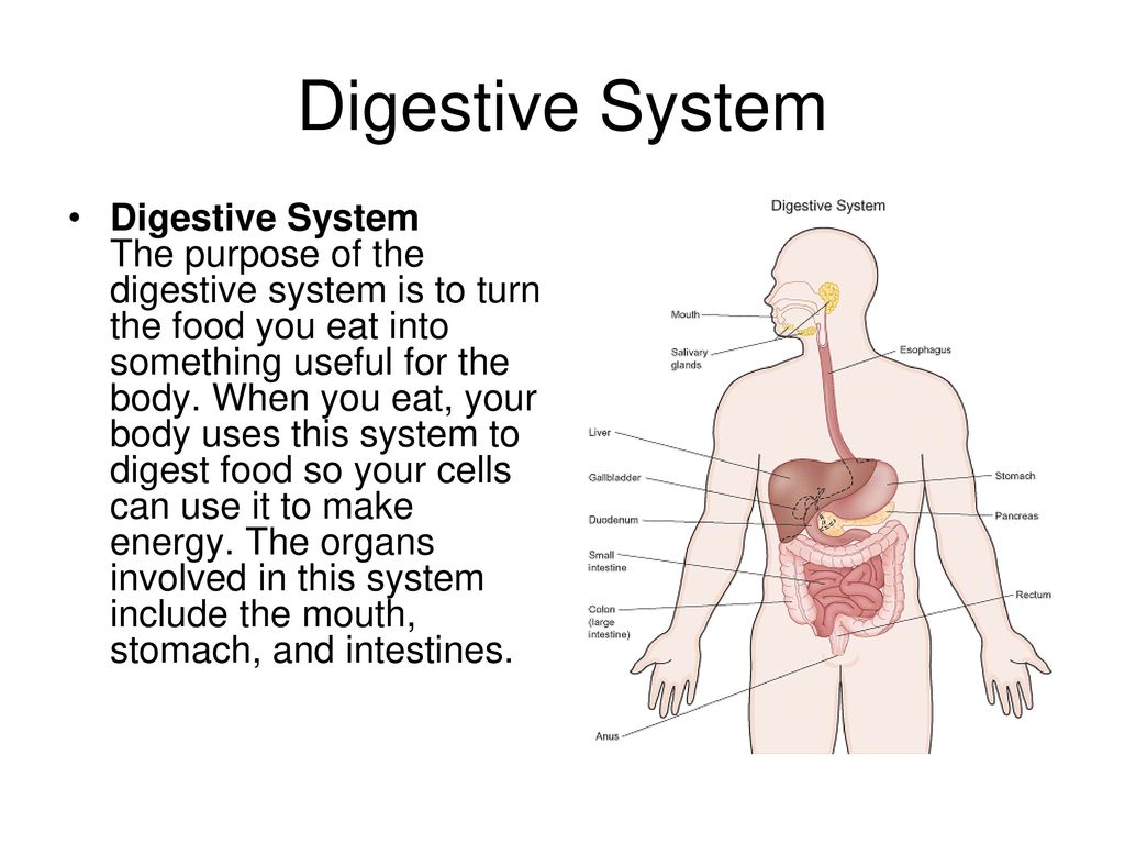 How much poop is in the human body How Much Poop Is Trapped In Your Body?