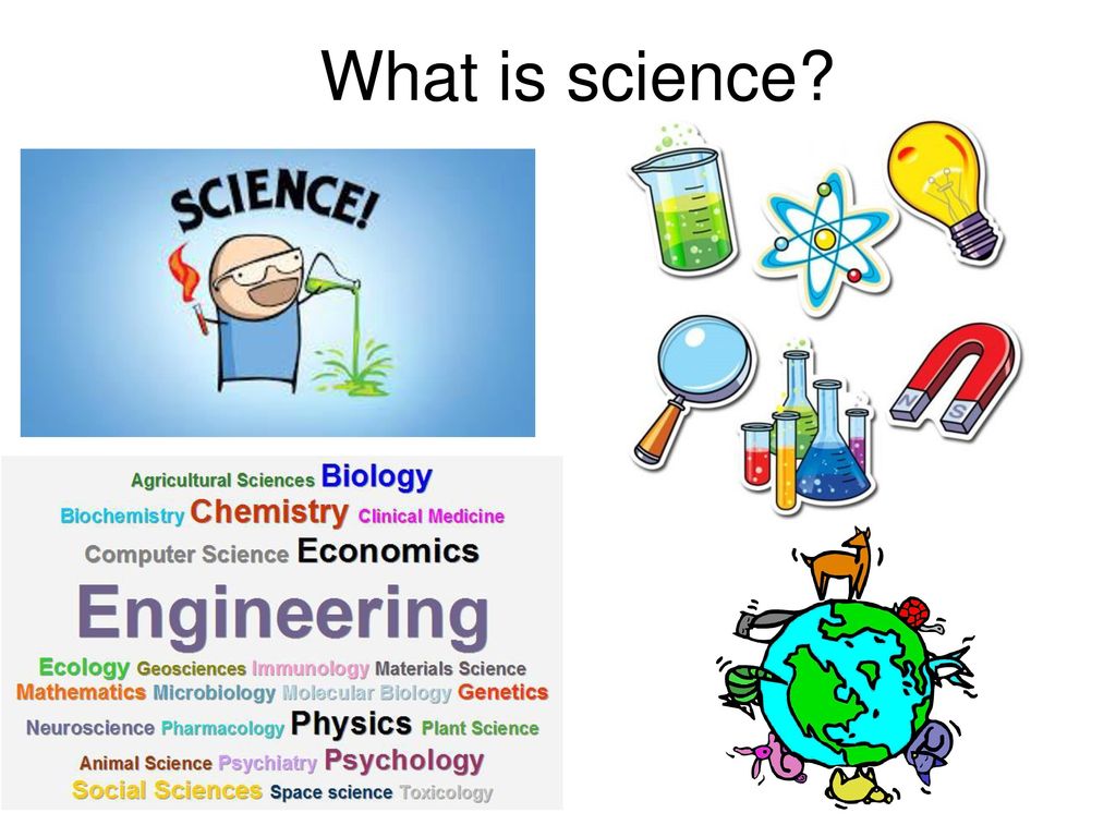 Ис наука. What is Science. What is Science ? Презентация на тему. Science перевод. What is Science ppt.