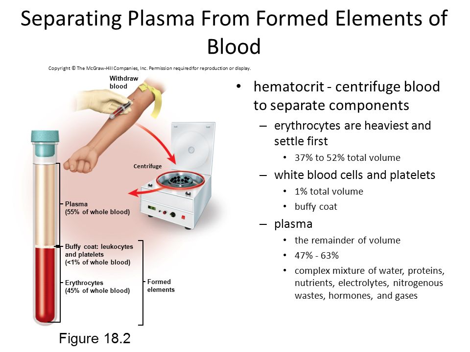 Кровь вода на русском. Formed elements of Blood. Shaped elements of Blood. Formed elements of the Blood таблица. Blood Plasma.