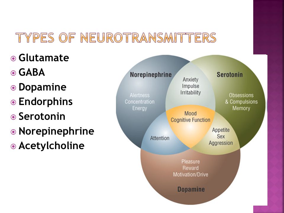 What does the neurotransmitter gaba do: Physiology, GABA – StatPearls ...