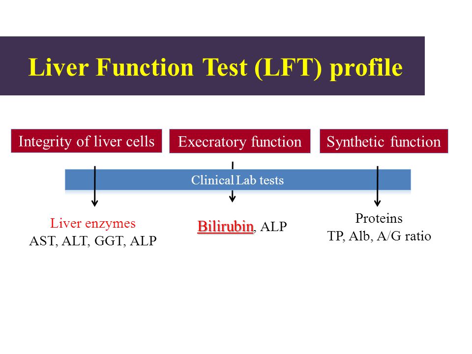 Liver enzymes alt and ast Liver function tests Mayo Clinic