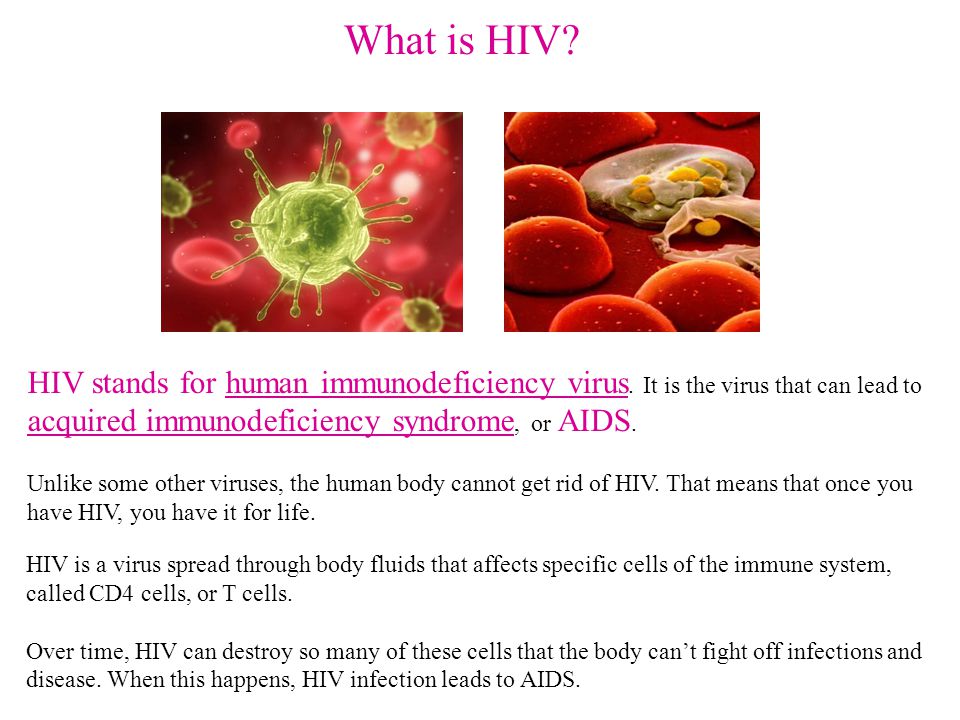 What Body Fluids Are Used To Diagnose Hiv Types Of Hiv Tests Testing Hiv Basics Hivaids 8867