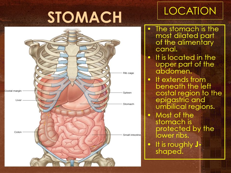 Rash under folds of stomach: Causes, symptoms, pictures, and treatment