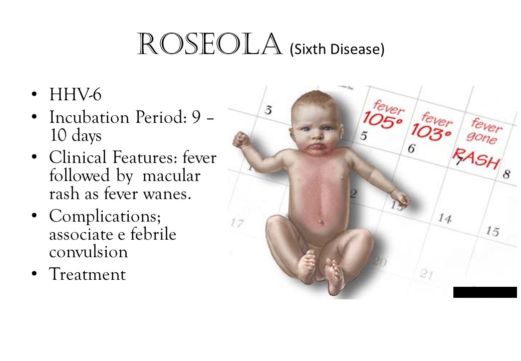 Розеола Детская Фото И Симптомы