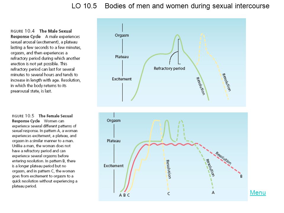 What is intercourse sex