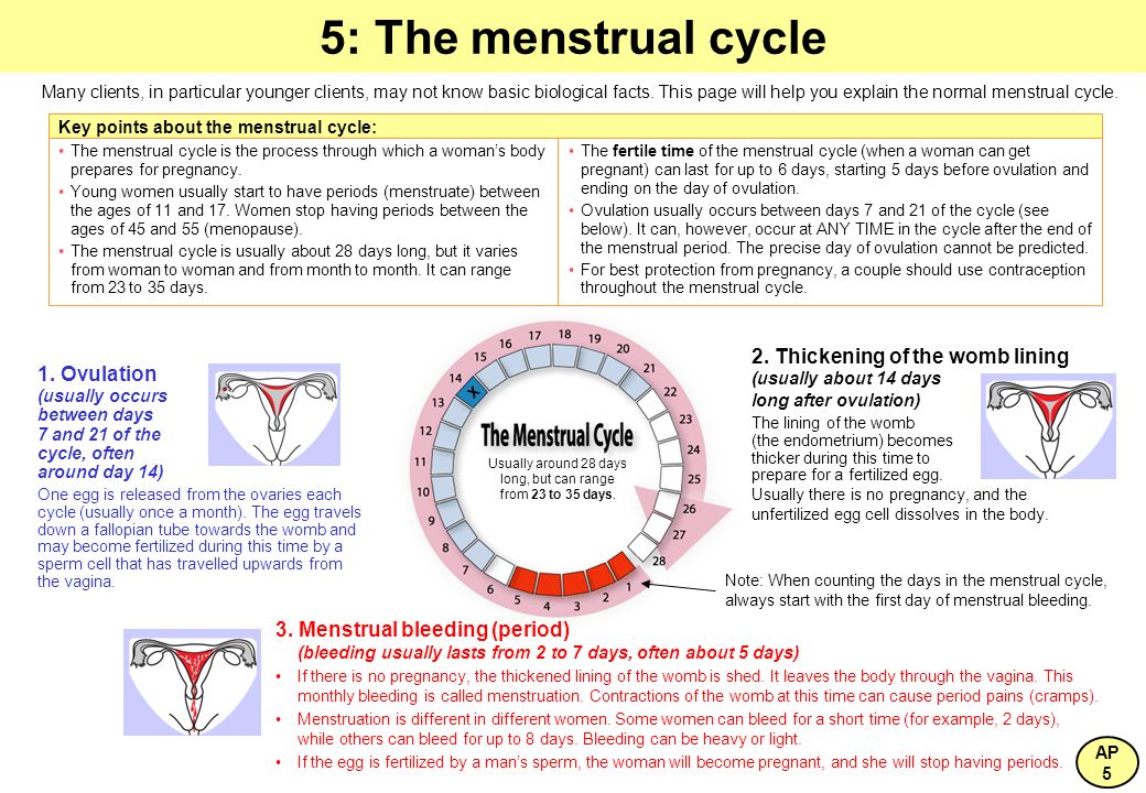 How Do I Know If my Pain Is Due to Ovulation? 