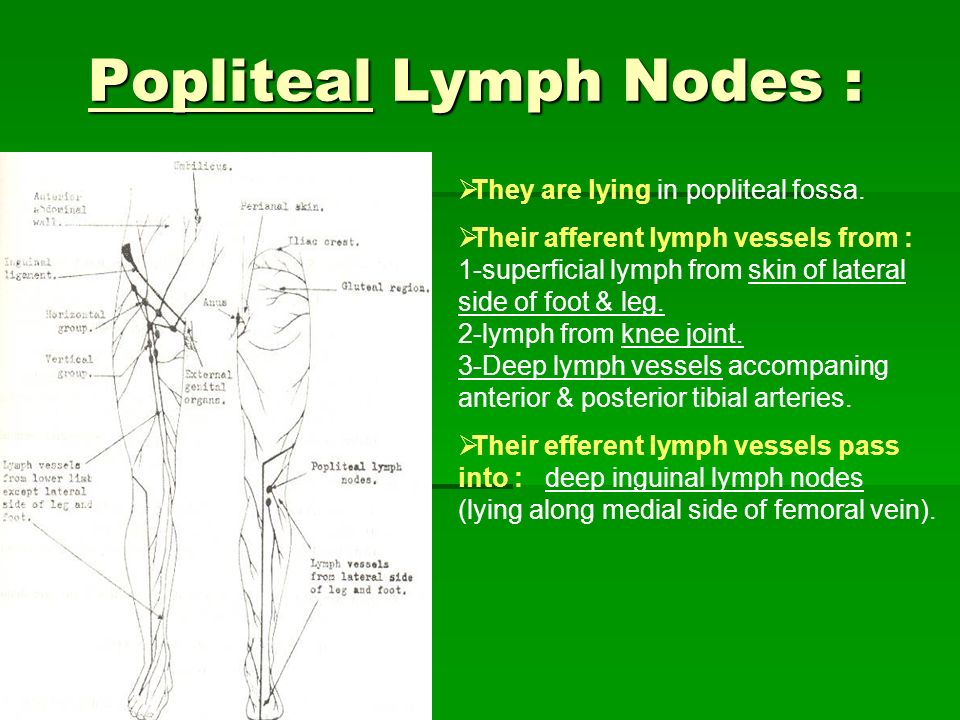 Hay fever lymph nodes: Enlarged Or Swollen Glands And Nasal Congestion