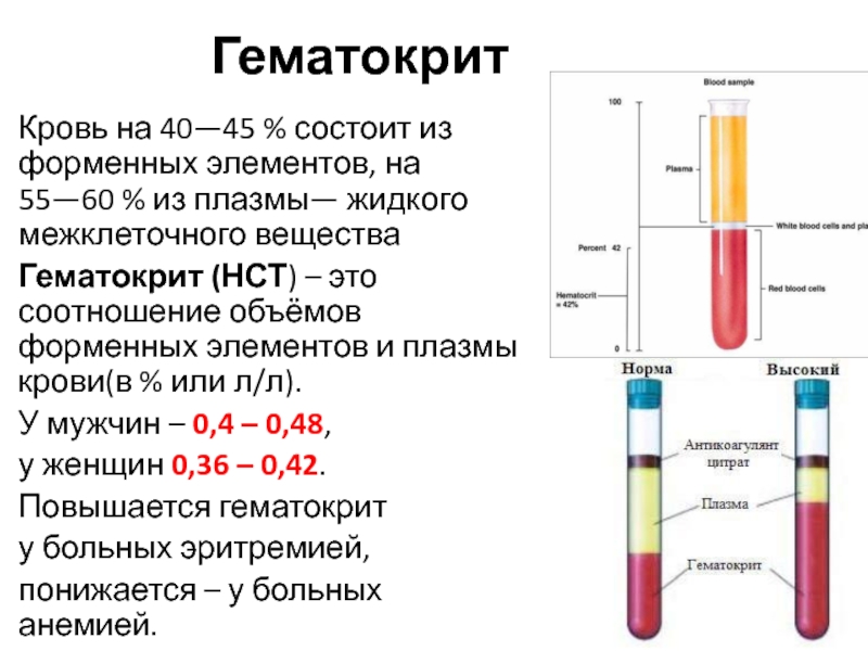 Тест элемента крови. Соотношение плазмы и форменных элементов. Гематокрит 0.55. Объемное соотношение плазмы и форменных элементов. Норма гематокрита для донора плазмы.