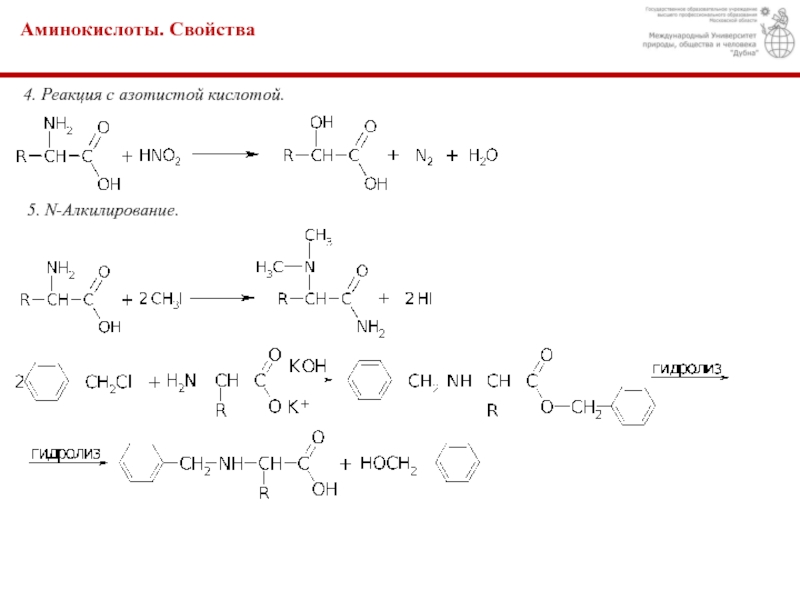 Аминоуксусная кислота свойства. Взаимодействие аминоуксусной кислоты с азотистой кислотой. Реакция алкилирования аминокислот. Алкилирование аминокислот. Взаимодействие лизина с азотистой кислотой.