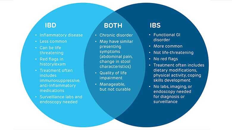 Ibs life. IBD сегмент. IBS. Dauntless IBD.