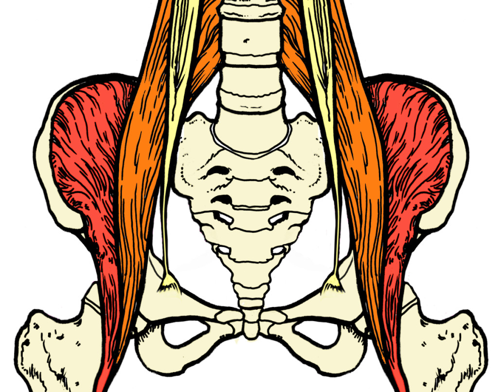 Epigastric Hernia Image Radiopaediaorg