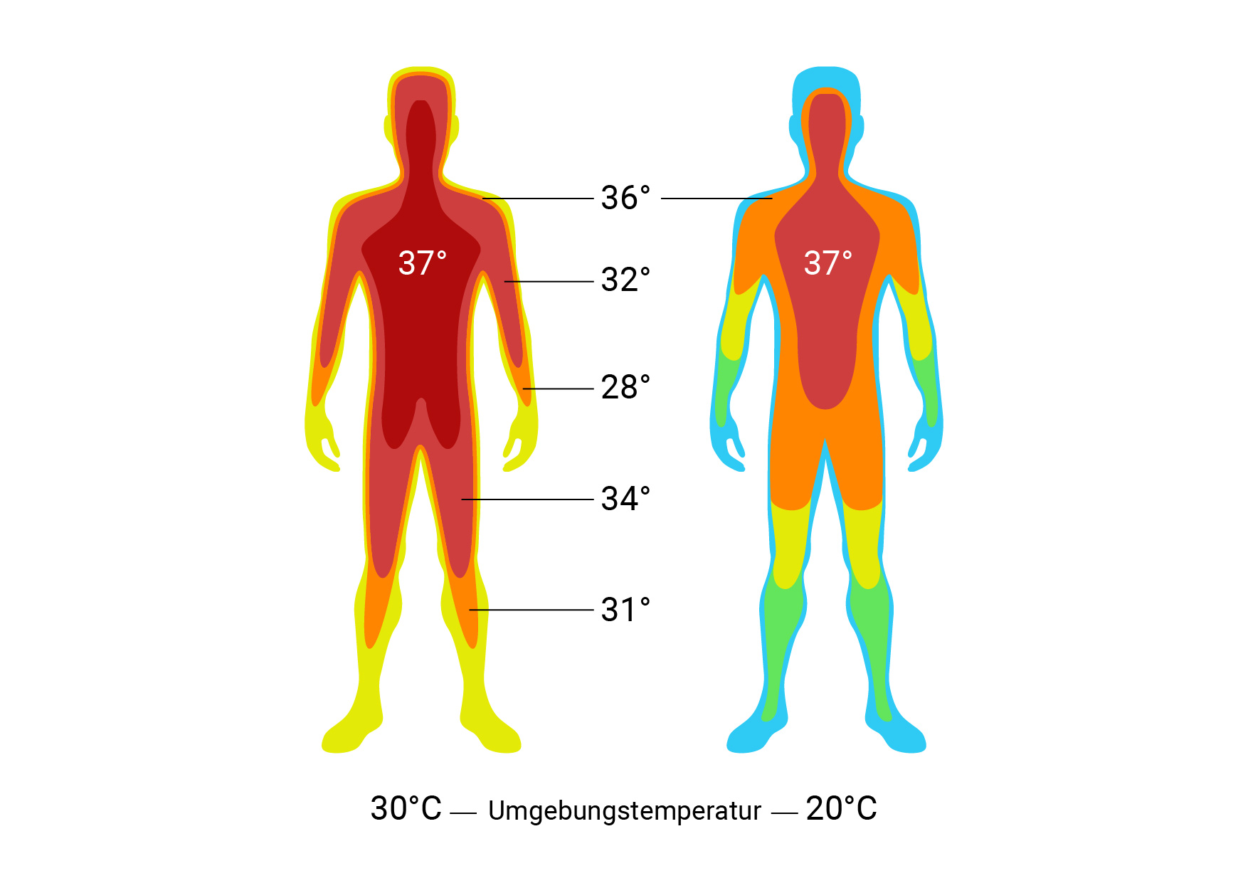 Естественная температура человека