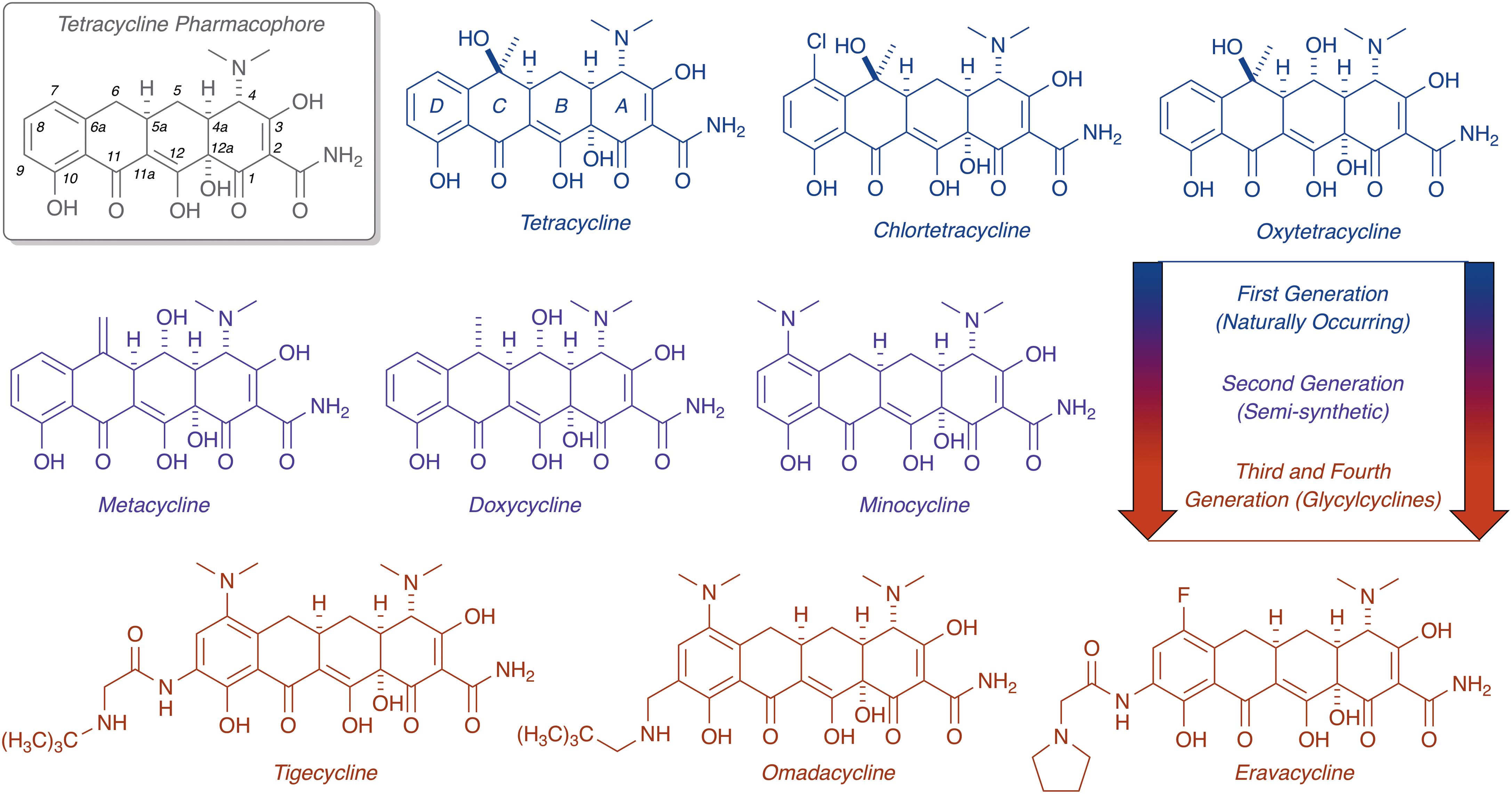 Tetracycline interactions: Tetracycline Oral: Uses, Side Effects ...