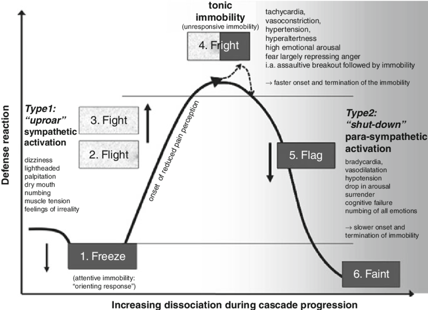 Fight or Flight response. Fight Flight Freeze Fawn. Fight of Flight. Фаинт.