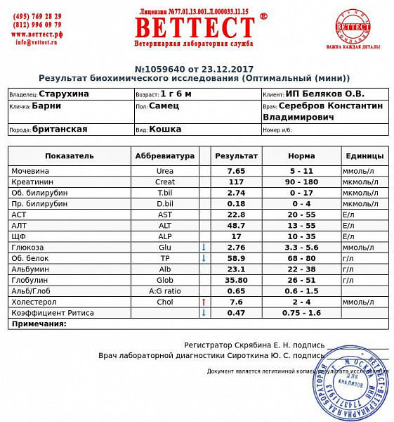 Алт 18 аст 18